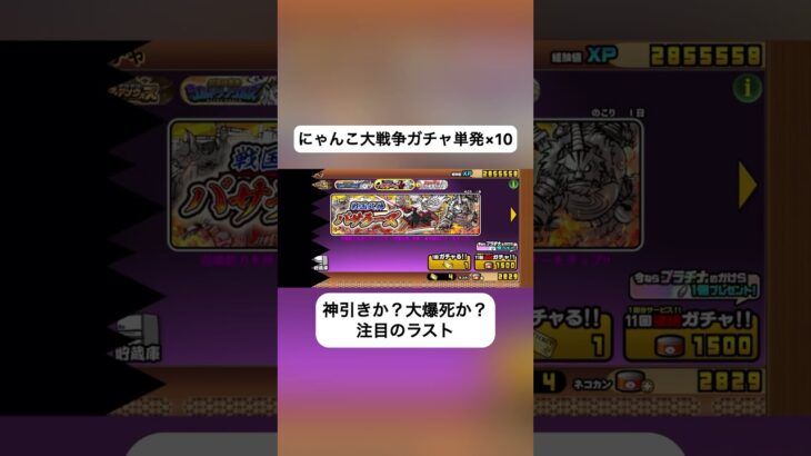 【にゃんこ大戦争】神引きor大爆死　単発×10 #にゃんこ大戦争 #ゲーム #ゲーム実況者 #ゲーム実況 #にゃんこ大戦争ガチャ #ガチャ