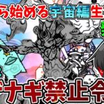 にゃんこ大戦争【絶望】ついにイザナギ禁止令発令！一気に攻略難易度が上がり大苦戦…！！【ゆっくり実況】【無課金】【宇宙編】part12