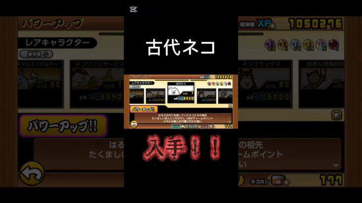 これで古代の呪い勝てるね😆多分#にゃんこ大戦争#short