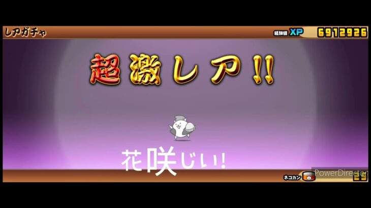 にゃんこ大戦争超ネコ祭神引き？！#にゃんこ大戦争 #にゃんこ大戦争ガチャ