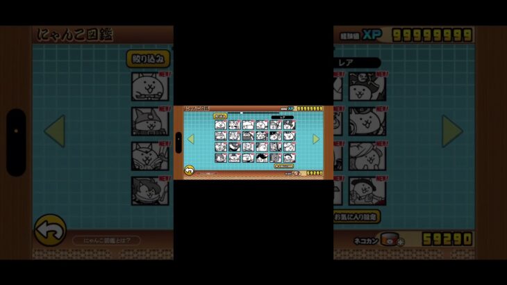 友達からもらったにゃんこ大戦争のチート垢これすごい！！#にゃんこ大戦争 #ゲーム