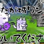 【にゃんこ大戦争/同一編成】超激・伝説無し同一編成　野生ワンコさんが城ワンパンしないでください()【城体力激ローにゃんこ/サブ垢】