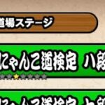 にゃんこ大戦争、道場にゃんこ道検定八段攻略＃にゃんこ大戦争#道場にゃんこ道検定八段#無課金