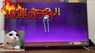 #伝説のネコルガ族　#にゃんこ大戦争　#ガチャ神引き