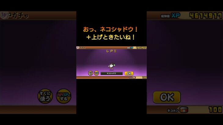 【にゃんこ大戦争】超激レア確定！さぁ始めようぜぃ！！　＃にゃんこ大戦争