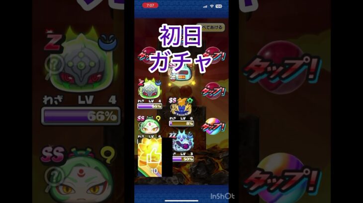 初日ガチャ引いたらまさかの結果に…！　【にゃんこ大戦争】#にゃんこ大戦争
