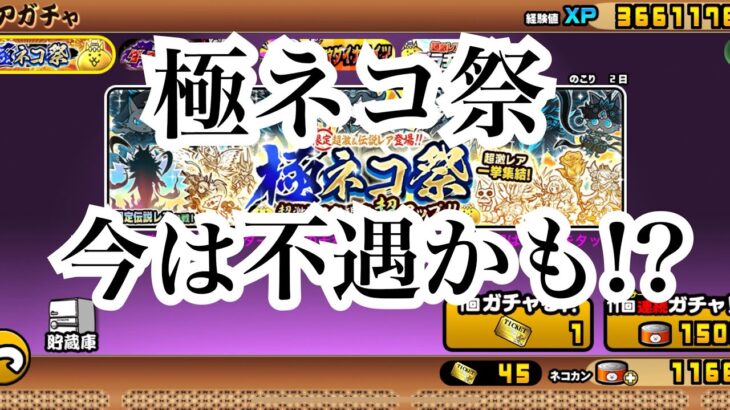 【にゃんこ大戦争】今来てるガチャ。極ネコ祭、ダークヒーローズ、超激ダイナマイツについて考えてみた