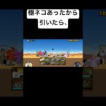 極ネコでみんな神引きした？ #にゃんこ大戦争 #人気になりたい #バズれ #チャンネル登録お願いします #にゃんこ #猫缶#バトル#ハズレ