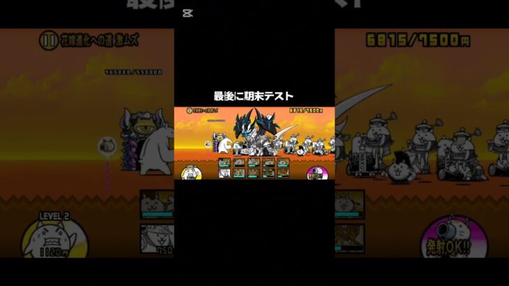 これからの活動について#にゃんこ大戦争 #初心者