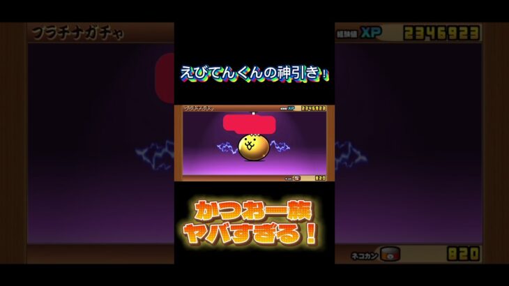 普通こんなに出ないよ🤣#にゃんこ大戦争 #ガチャ神引き