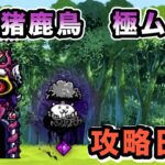 蝶！猪鹿鳥　極ムズ②　大狂乱のトリ降臨　にゃんこ大戦争　攻略日記