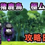 蝶！猪鹿鳥　極ムズ④　大狂乱のトリ降臨　にゃんこ大戦争　攻略日記