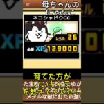 母ちゃんが育てた方がいいキャラ教えてくださいって言ってた気がする #にゃんこ大戦争 ＃にゃんこ大戦争初心者