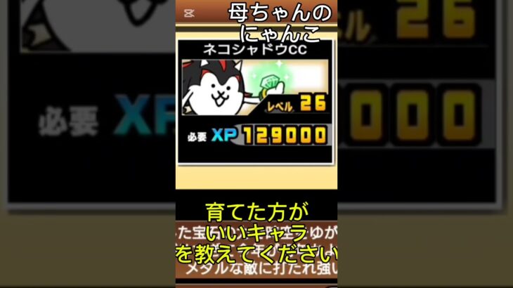 母ちゃんが育てた方がいいキャラ教えてくださいって言ってた気がする #にゃんこ大戦争 ＃にゃんこ大戦争初心者