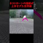 ネコドローンの操縦が上手すぎる【にゃんこ大戦争】