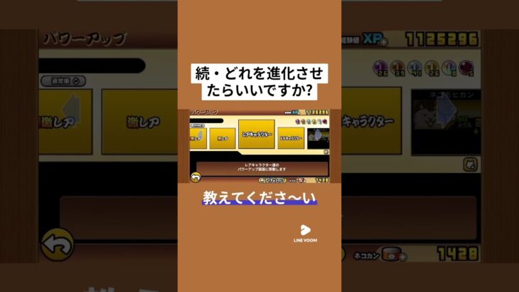 レアキャラですみません、、見てもらえると嬉しいです。 #にゃんこ大戦争 #ゲーム