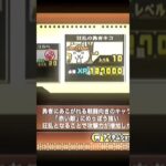 大狂乱ゴムネコゲット！　#にゃんこ大戦争
