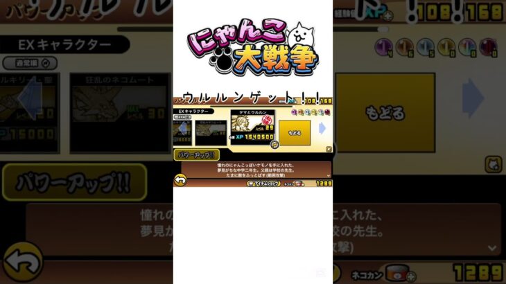 ウルルンゲット！！思ってたより弱かった#にゃんこ大戦争 #バズれ #人気になりたい #にゃんこ大戦争初心者
