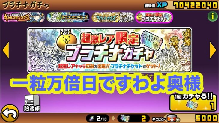 一粒万倍日にプラチナガチャ【にゃんこ大戦争】#吉日ガチャ #にゃんこ大戦争ガチャ