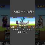 大狂乱のネコ攻略！
