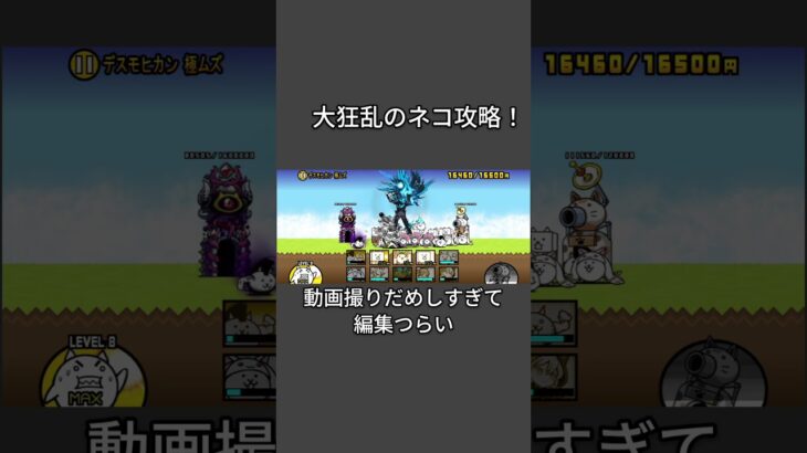 大狂乱のネコ攻略！