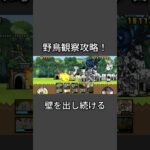 野鳥観察攻略！ダチョウ強い…