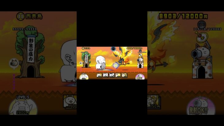 共通点クイズです！結構難しめです。#にゃんこ大戦争