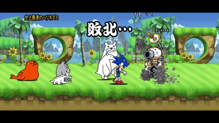 にゃんこ大戦争、猫缶使って勝った（泣）ガチャ引けない