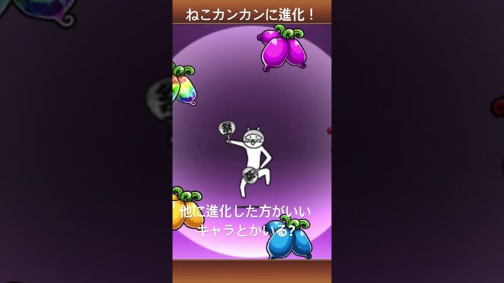 #もち #にゃんこ大戦争 #まにもち