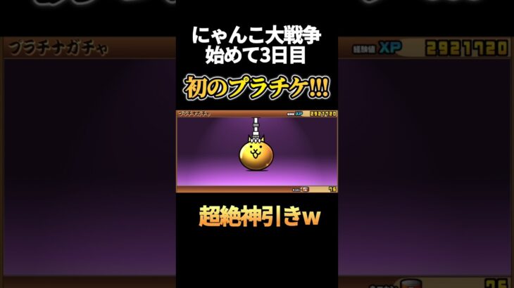 【初投稿】あのネコ祭限定キャラが…wこれからが楽しみすぎる！#にゃんこ大戦争#神引き#初心者#初投稿