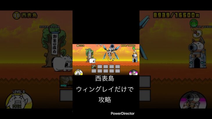 西表島ウイングレイで攻略 #youtubeshort #youtubeshorts #shorts #short #ゲーム #にゃんこ大戦争 #にゃんこ #にゃんこ大戦争初心者