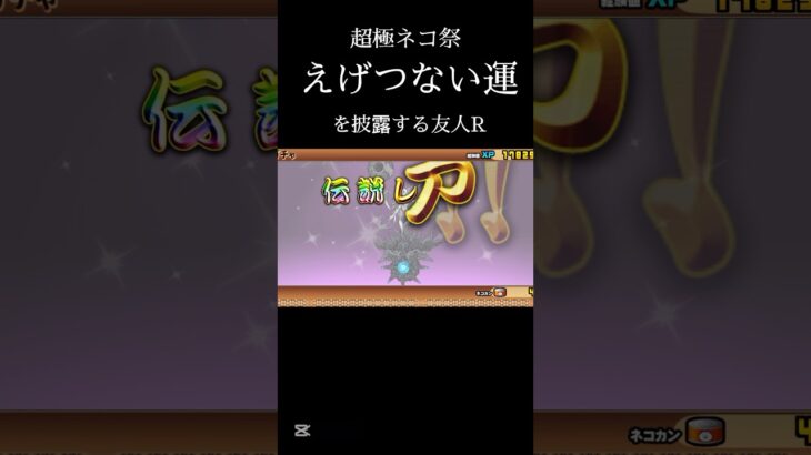 【にゃんこ大戦争】超極ネコ祭でえげつない引き#にゃんこ大戦争 #にゃんこ大戦争ガチャ #超極ネコ祭 #youtubeshorts #ショート