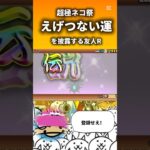 限定○枚抜き？！【にゃんこ大戦争】#にゃんこ大戦争 #にゃんこ大戦争ガチャ #神引き #youtubeshorts #底辺youtuber