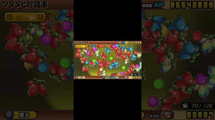 また旅を進化させました 1