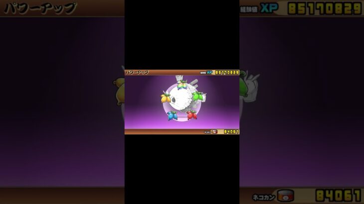 かぐや姫　進化 1