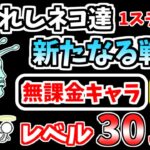 【にゃんこ大戦争】新たなる戦い（導かれしネコ達 1ステージ目）を本能なし低レベル無課金キャラで攻略！【The Battle Cats】