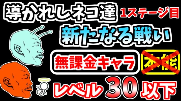 【にゃんこ大戦争】新たなる戦い（導かれしネコ達 1ステージ目）を本能なし低レベル無課金キャラで攻略！【The Battle Cats】