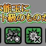 チート級の本能玉!? 第2回の闘争本能大会は波乱が起きる!? 【にゃんこ大戦争】