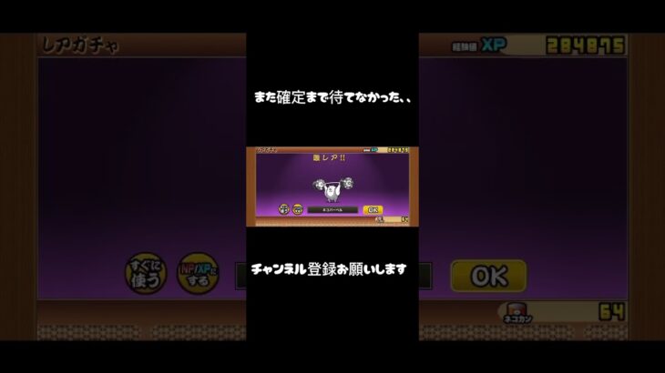 またやったわ、調子乗った2#にゃんこ大戦争