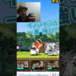 猪鹿鳥　狂乱のトリに挑戦！【にゃんこ大戦争】#攻略 #狂乱 #狂乱のトリ　ゲームプレイ生配信26の切り抜き　我を忘れた猫　#shorts #にゃんこ大戦争 #降臨