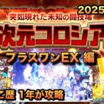 【異次元コロシアム星2】プラスワンEXなんて関係ない!? 汎用編成でゴリ押しせよ！［にゃんこ大戦争］