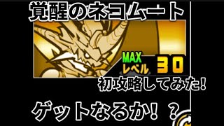 （にゃんこ大戦争）未来編3章攻略！（完全初挑戦）