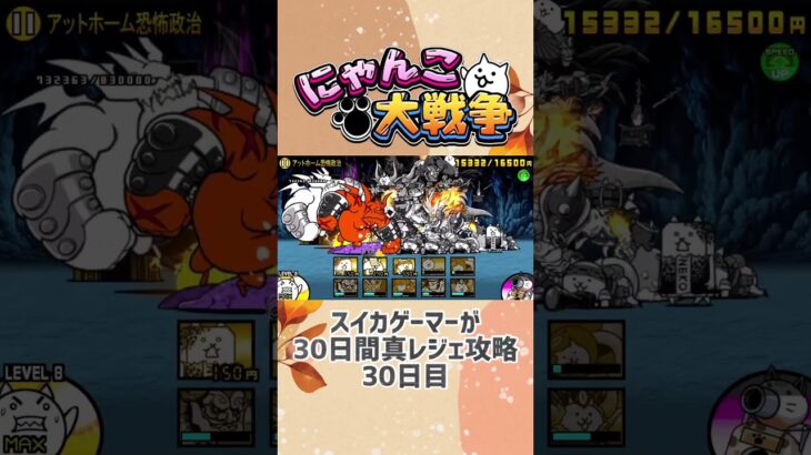 【にゃんこ大戦争】スイカゲーマーが30日間真レジェ攻略30日目