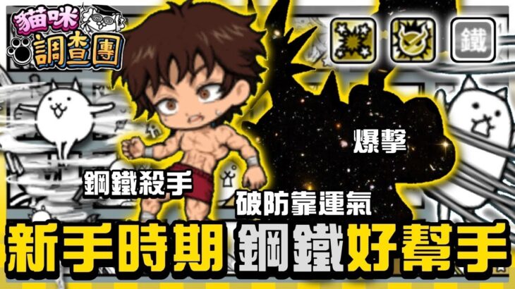 【大衛布丁】新手看過來！哪些貓適合用來打鋼鐵敵人🤔有爆擊又有鋼鐵殺手 運氣才是關鍵？🤔打鋼鐵一定要大破防啊😂｜貓咪大戰爭 にゃんこ大戦争 Battle Cats #貓咪調查團