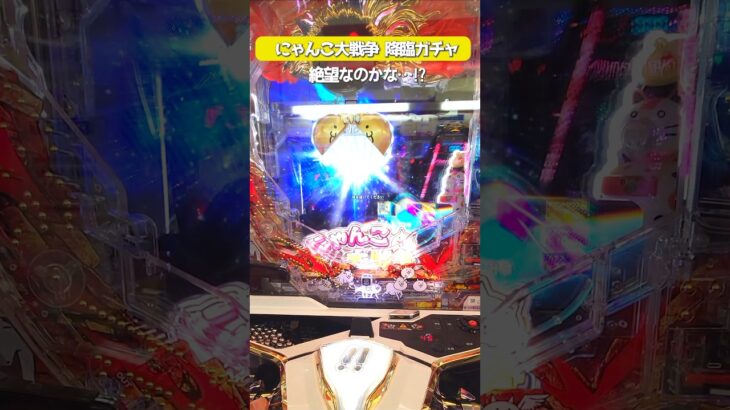 Pにゃんこ大戦争 降臨ガチャ オスイチで絶望ーーーーっ！？
