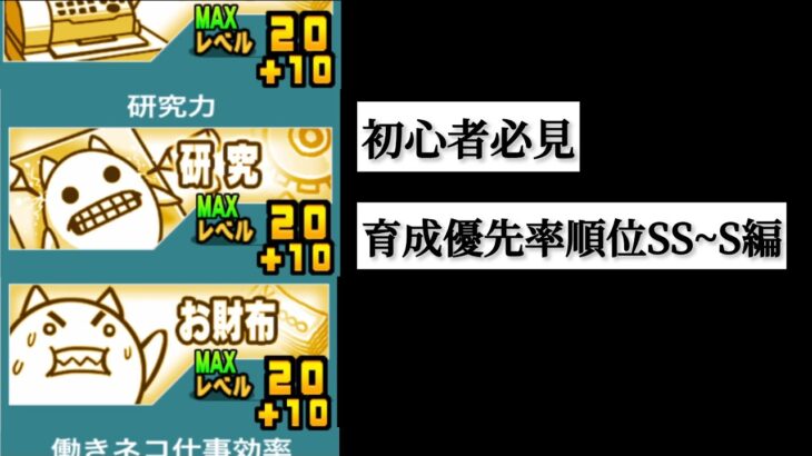 【にゃんこ大戦争】初心者必見！！育成優先率順位SS~Sランク編！！！