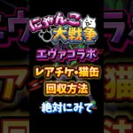 【にゃんこ大戦争】レアチケ、猫缶を集めよう！#アップデート#コラボ#エヴァ#battle cats