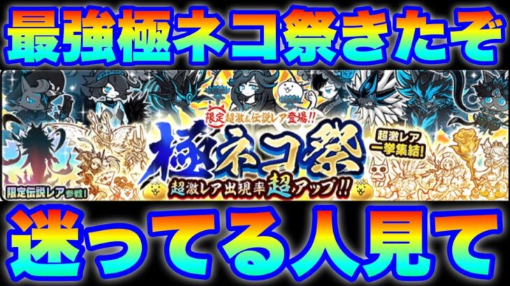 最強極ネコ祭ガチャきたけど、エヴァガチャとどっち迷ってる人見て　#にゃんこ大戦争　#battlecats