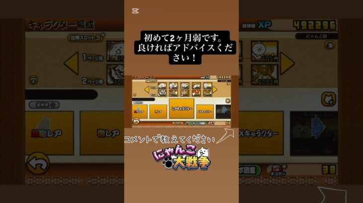 【にゃんこ大戦争】アドバイスお願いします #shorts #にゃんこ大戦争#編成#初心者