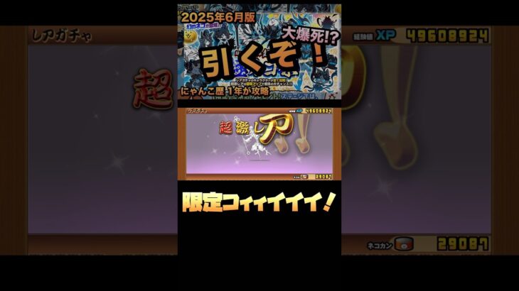 【極ネコ祭】黒フォノウ狙って超激レア出るまで回すぞ！#shorts #にゃんこ大戦争 #にゃんこ大戦争初心者 #ガチャ